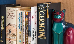 bookshelf-791011_640